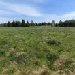 Sprzedam działkę Jeglin  - ogłoszenia 844706 | Piszanin.pl