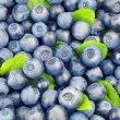 Sprzedam jagody - ogłoszenia 848072 | Piszanin.pl