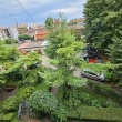 Ustawne mieszkanie, bez wkładu własnego, blisko rzeki  - ogłoszenia 849563 | Piszanin.pl