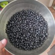 Zbieram jagody na zamówienie  - ogłoszenia 850396 | Piszanin.pl