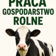 Praca w gospodarstwie rolnym z zakwaterowaniem - ogłoszenia 850908 | Piszanin.pl