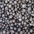 Sprzedam jagody  - ogłoszenia 852334 | Piszanin.pl