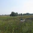 Działki budowlane w MYŚLIBORZU sprzedam - ogłoszenia 1249362 | eGorzow.pl