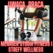Menager Studia Fitness  - ogłoszenia 2380622 | eGorzow.pl