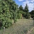 Sprzedam działkę ROD - ogłoszenia 2537033 | eGorzow.pl