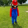Żywa maskotka Super Mario Bros | Święty Mikołaj do wynajęcia - ogłoszenia 1738234 | iOtwock.info