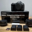 Canon EOS R6 Mark II, Canon EOS R3, Canon EOS R5, Canon EOS R6, Canon EOS R7, Canon EOS 1D X Mark III, Canon EOS 5D Mark IV , Nikon Z9,  Nikon Z8, Nikon Z 7II, Nikon Z7 ,  Nikon D6, Nikon D850, Nikon  - ogłoszenia 1794718 | iOtwock.info