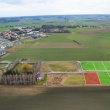 Działki | Sprzedaż | Chruszczewo | 961 m2 - ogłoszenia 2324291 | Ciechanowinaczej.pl