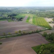 Działki rolne oraz działka leśna na sprzedaż - ogłoszenia 2361971 | Ciechanowinaczej.pl