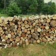 Drewno opałowo-kominkowe - ogłoszenia 2380807 | Ciechanowinaczej.pl