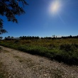 Działki | Sprzedaż | Bielin | 1313 m2 - ogłoszenia 2392253 | Ciechanowinaczej.pl