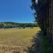 Działki | Ciechanów | ul. Leśna | 2367 m2 - ogłoszenia 2395907 | Ciechanowinaczej.pl