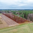 Działka leśna 1 ha - Kozdrowe, gm. Regimin - ogłoszenia 2505637 | Ciechanowinaczej.pl