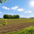 Atrakcyjna działka w Bronisławiu - ogłoszenia 2542335 | Ciechanowinaczej.pl