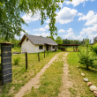 Dom w otoczeniu lasu/ działka 3001 m2/ Ościsłowo - ogłoszenia 2542800 | Ciechanowinaczej.pl
