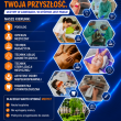 Medyczna Szkoła Policealna w Ciechanowie - ogłoszenia 2549319 | Ciechanowinaczej.pl