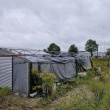 Syndyk sprzeda namiot mały Royal - ogłoszenia 2550780 | Ciechanowinaczej.pl