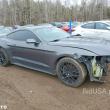 Ford Mustang 3.7 V6 - ogłoszenia 851773 | Tygodnik Siedlecki