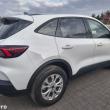 Ford Kuga - ogłoszenia 851815 | Tygodnik Siedlecki
