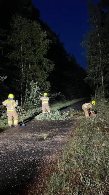 Nocna wichura uderzyła w powiat. Strażacy ruszyli do powalonych drzew