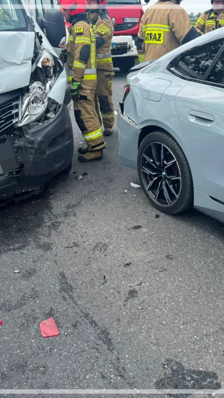 Płonące drzewo i wypadek w Młodzieszynie