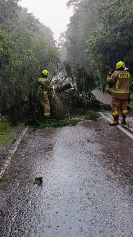Strażacy z powiatu mrągowskiego usuwali powalone drzewa i ratowali zalane posesje