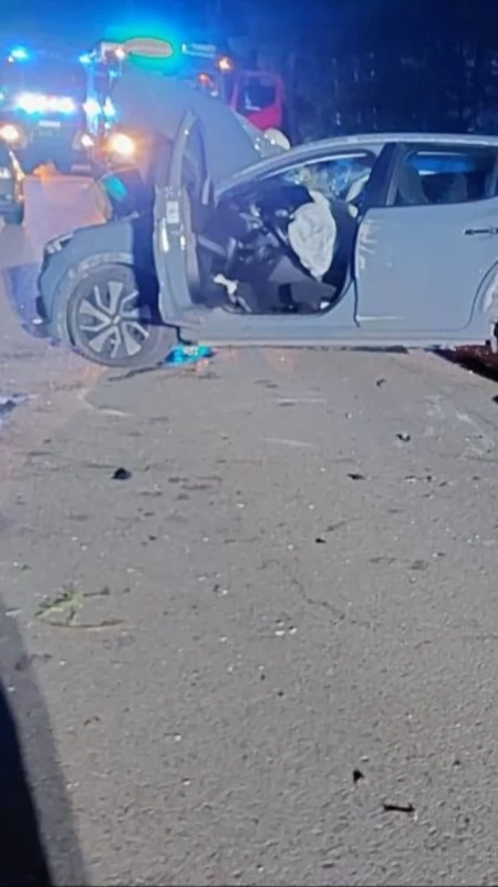 Na trasie Zyndaki-Gązwa samochód uderzył w drzewo. Zwierzę wbiegło na jezdnię