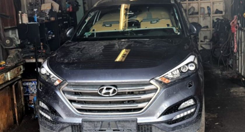 Hyundai skradziony na Białołęce znaleziony w dziupli pod Warszawą