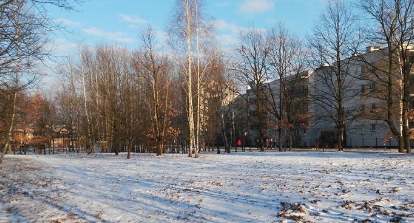 Ogrody Mehoffera - petycja szansą na utrzymanie zielonej enklawy i uratowanie cennych drzew