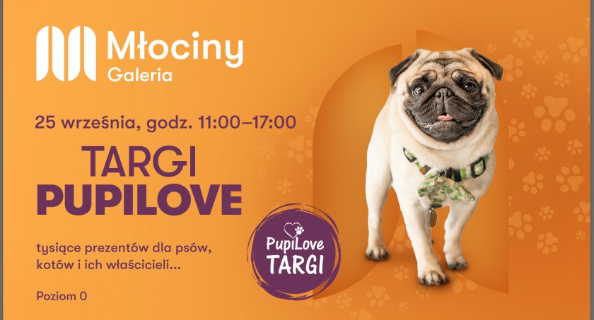 Zwierzaki opanowują Galerię Młociny