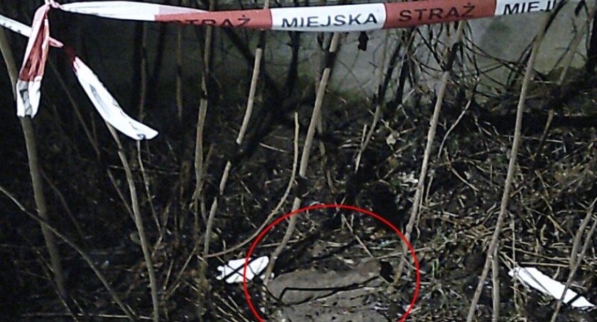 Nieopodal centrum ogrodniczego znaleziono niewybuch