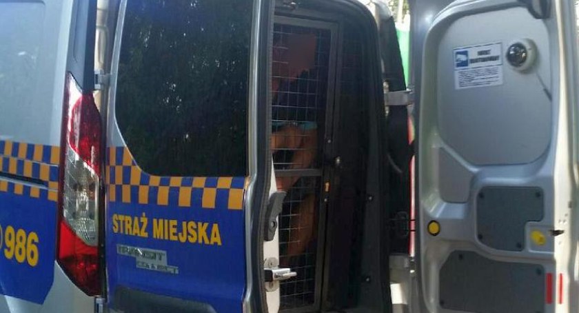 Mężczyzna zaczepiał dzieci i robił im zdjęcia