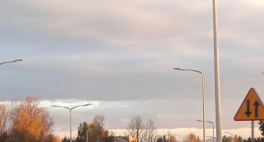 Gdzie powinny pojawić się latarnie na Białołęce? [LOKALIZACJE]