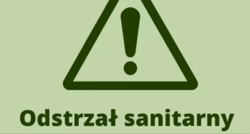 Zaplanowano odstrzał sanitarny. Sprawdźcie terminy!
