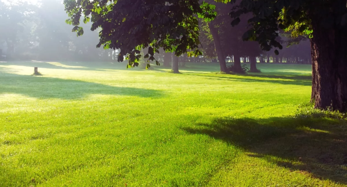 Powstaje Park Żerański. Jak ma wyglądać?