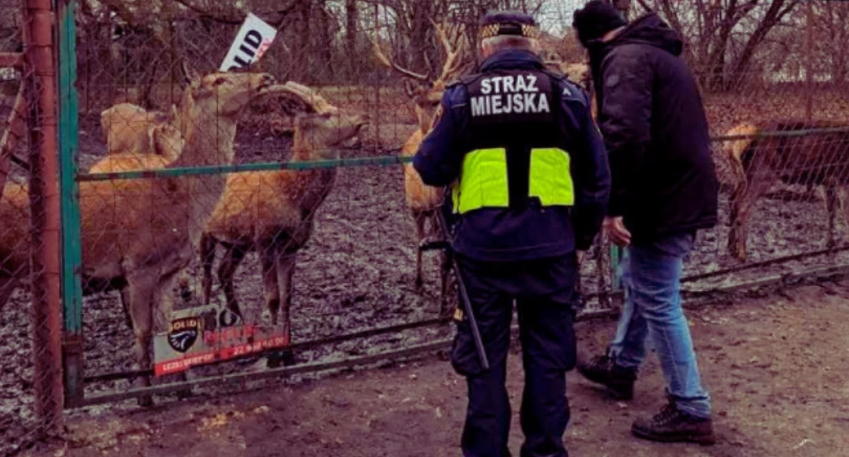 Dziura w płocie i przygoda na Białołęce Dworskiej