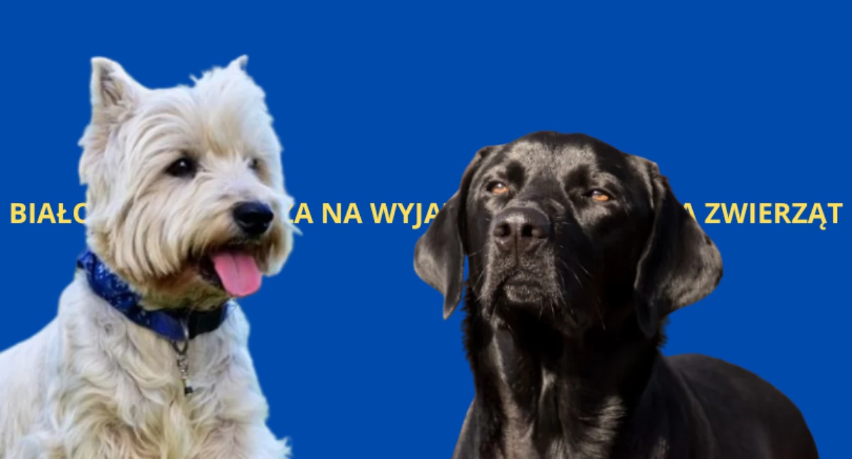 Kolejne Targi dla Zwierzaków przed nami!