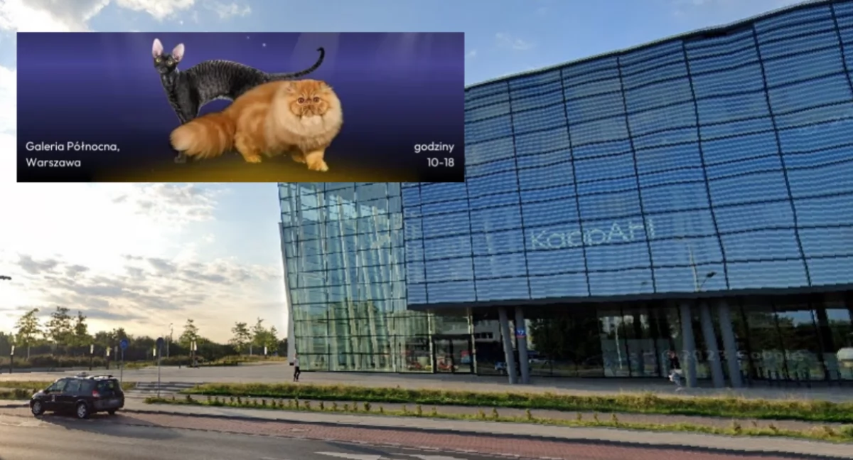 Galeria Północna zaprasza na wyjątkową wystawę