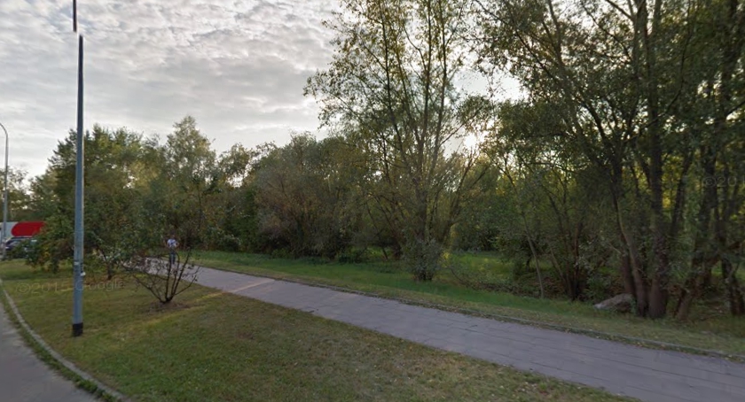 To może być klimatyczne miejsce - walczymy o Park przy Botewa