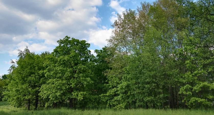 Białołęka może być bardziej zielona - głosujemy na 