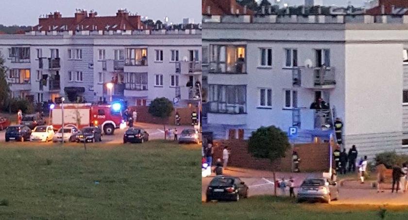 Wieczorna akcja na Lewandowie - policja i straż na odsiecz psu
