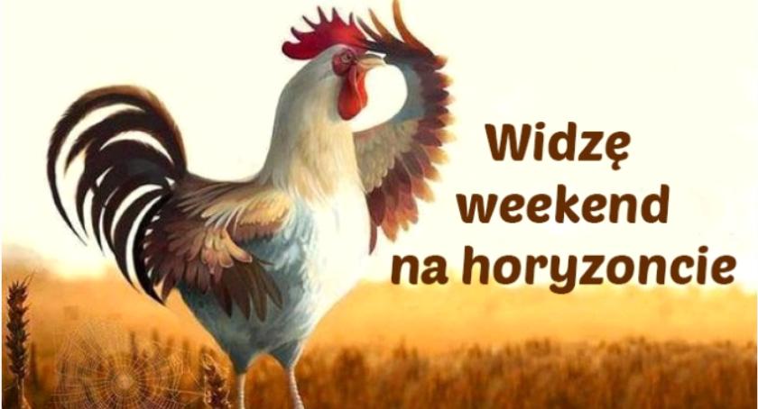 Nie będzie nudno. Weekendowy rozkład jazdy