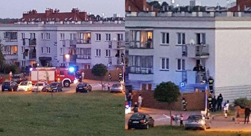 Czy właściciel psa odpowie za znęcanie się nad zwierzęciem? Policja o akcji na Lewandowie