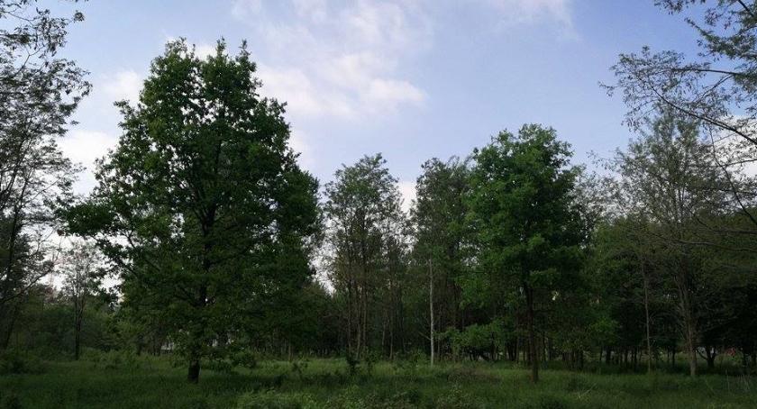 Rondo i osiedle w miejscu urokliwego, zielonego zakątka na Żeraniu