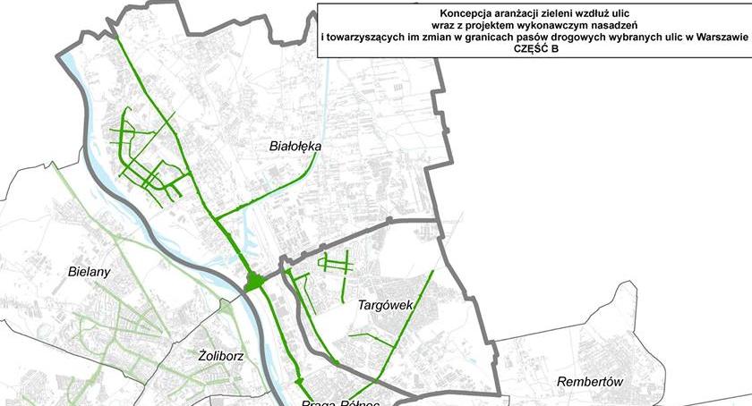 Nie ma chętnych do projektowania zieleni na Białołęce. Ogłoszono drugi przetarg