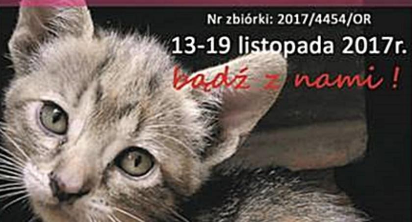 Zbiórka dla bezdomnych zwierząt już od 13 listopada! Pomagamy przetrwać zimę!