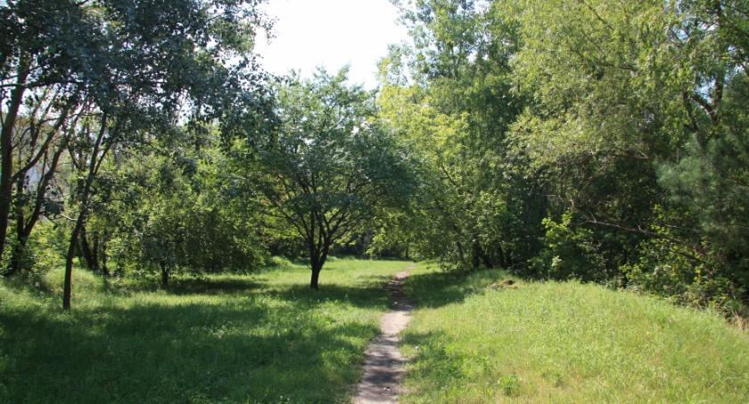 Jaki ma być zielony teren przy Botewa - ruszają konsultacje