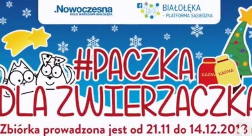 Podarujmy czworonogom trochę serca - trwa akcja Paczka dla Zwierzaczka