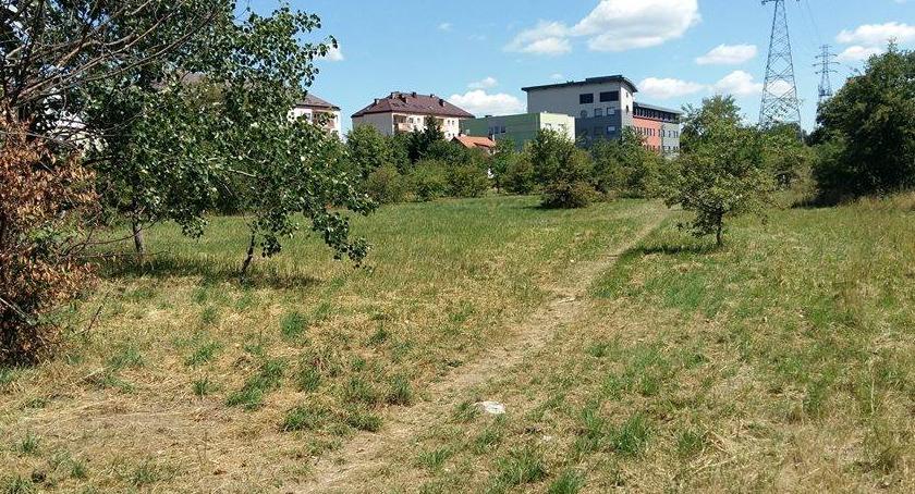 Co z modernizacją placu zbaw i parkiem na Portowej? Są dobre wieści!