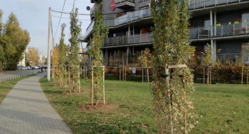 Ocalmy tereny nad Kanałem Żerańskim 2018 - rok pełen wyzwań